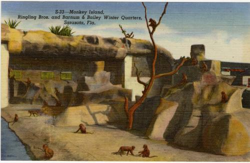 Monkey Island; Ringling Bros. and Barnum and Bailey Circus, Sarasota, Fla.