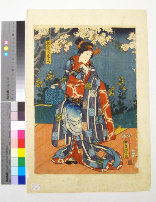 Hayashiya Shōgorō