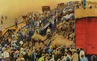 Unloading at Winter Quarters