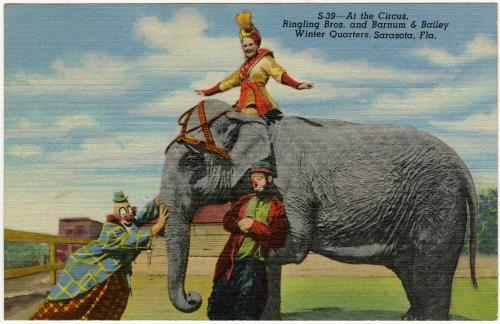 At the Circus, Ringling Bros. and Barnum & Bailey Winter Quarters, Sarasota, Fla.