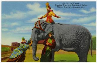 At the Circus, Ringling Bros. and barnum & Bailey Winter Quarters, Sarasota, Fla.