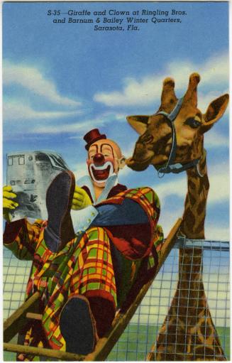 Giraffe and Clown at Ringling Bros. and Barnum & Bailey Winter Quarters, Sarasota, Fla.