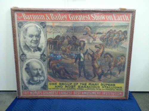 Barnum & Bailey: Sagacious Stallions