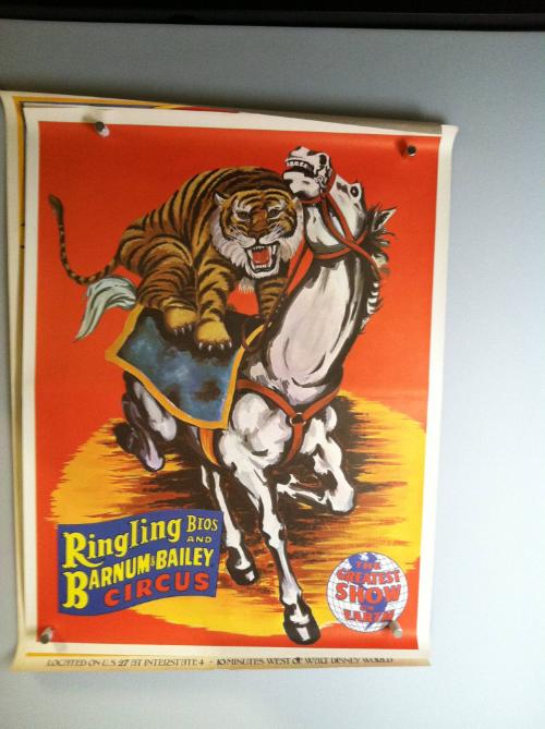 Ringling Bros. and Barnum & Bailey: Tiger Riding Horse