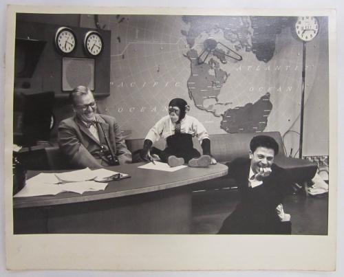 J.Fred Muggs at NBC Today Show with Dave Garroway and another man