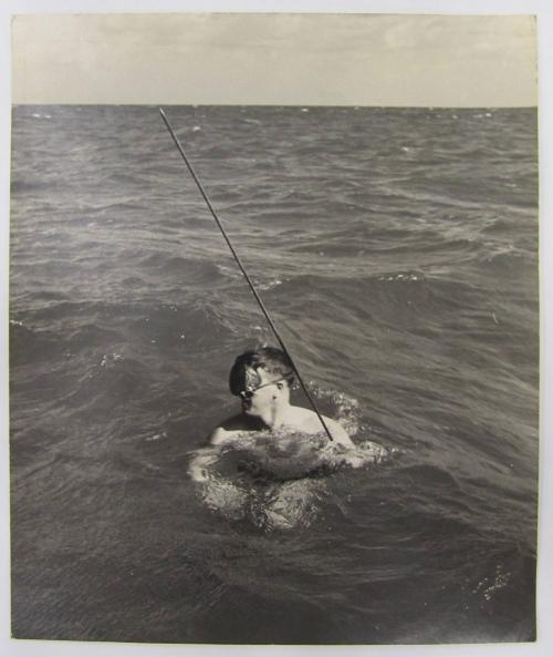 Ross Doe Lobster Fishing in Bermuda