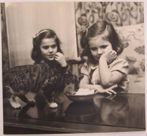 Two Girls Watch Cat Drink out of Bowl