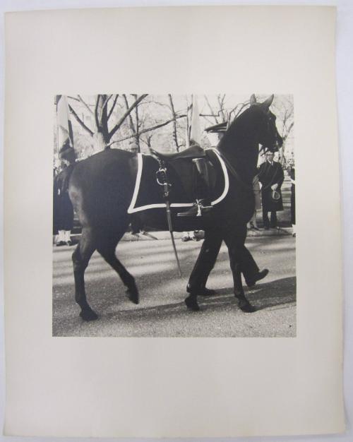 Riderless Black Horse in Procession of the Body of John F. Kennedy From the White House to the Capitol