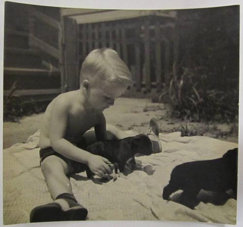 Little Boy in Baithing Suit Plays with Two Puppies