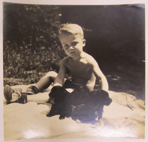 Little Boy in Baithing Suit Plays with Three Puppies