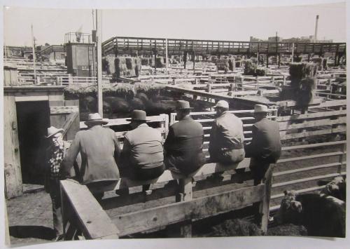 Men in Cowboy Hats Sit on Corral