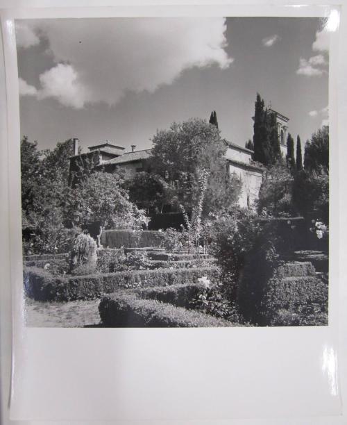 Garden Leading to a Villa Obscured by Trees