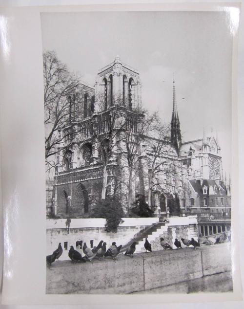 Pigeons on a Ledge in Front of Church