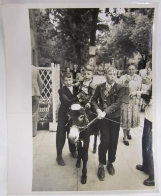 Small Boy Rides a Donkey as Two Others Guide Him