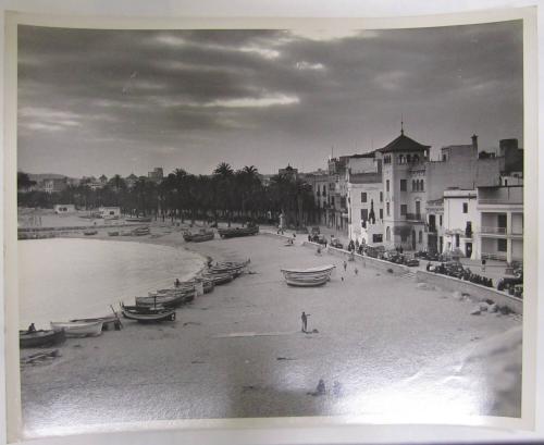 Exotic Shoreline Lined with Boats and Palms
