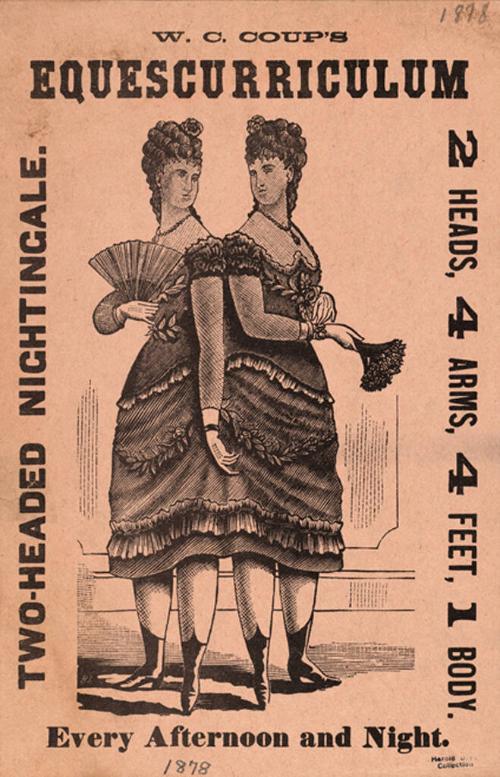 W. C. Coup's Equescurriculum