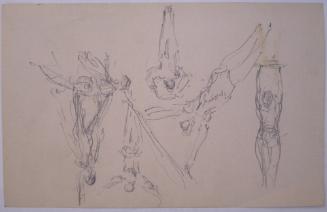Trapeze Artists
