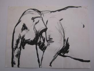Elephant Profile