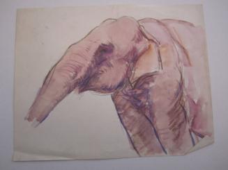 Pink Elephant