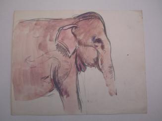 Pink Elephant