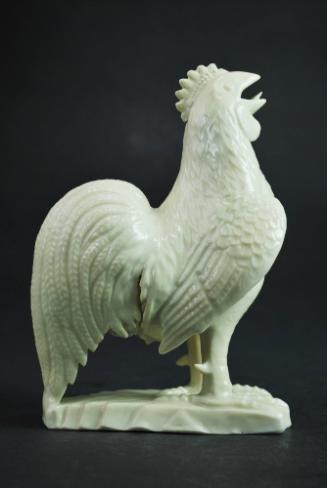 Cockerel