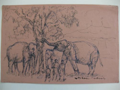 Circus Elephants