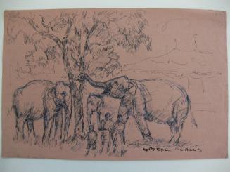 Circus Elephants
