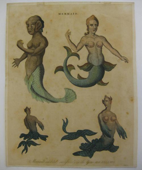 Mermaid