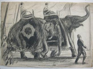 Circus Elephants