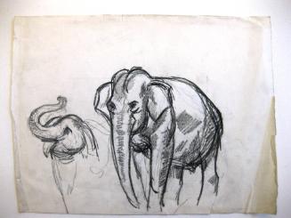 Circus Elephants