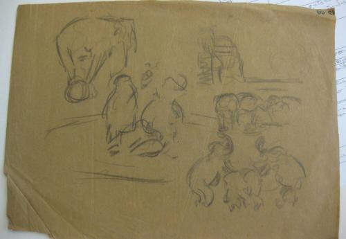 Circus Elephants