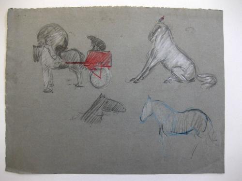 Circus Horses