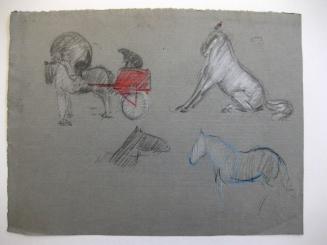 Circus Horses
