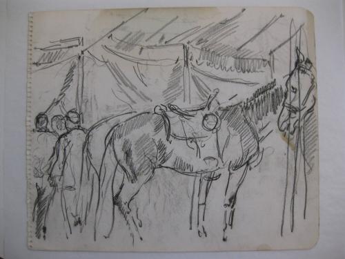 Circus Horse