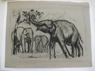 Circus Elephants
