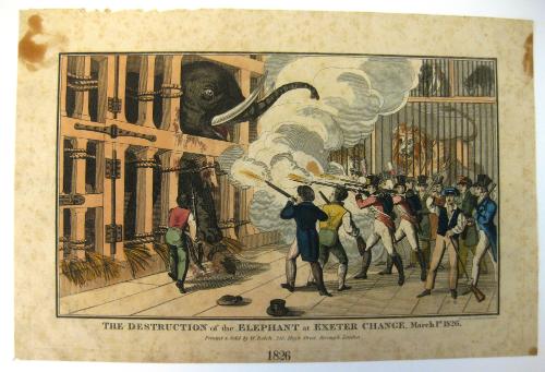 The Destruction of the Elephant at Exeter Change
