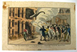 The Destruction of the Elephant at Exeter Change