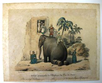 Scenes principales de l'Elephant du Roi de Siam