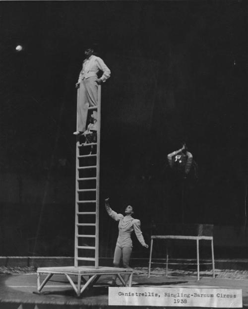 Untitled (Canistrellis, Ringling-Barnum Circus)