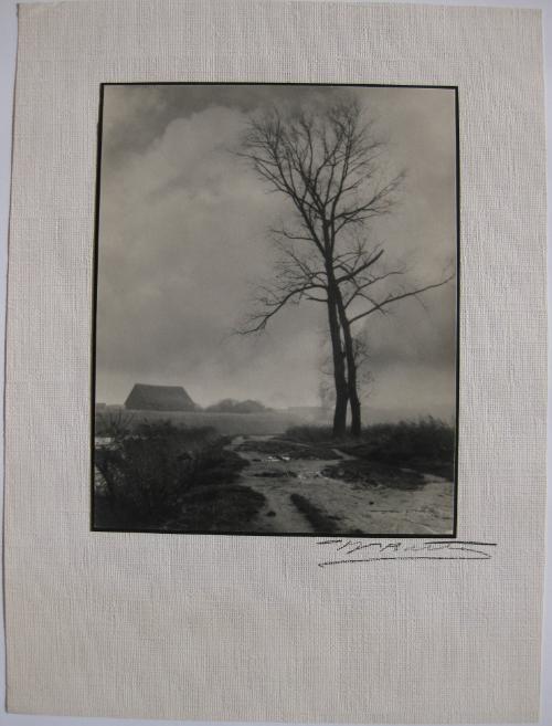 Willie Boeckstein