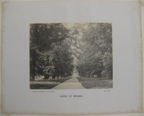 Avenue at Windsor