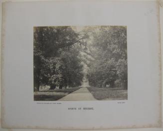 Avenue at Windsor