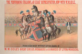 W.W. Cole: The Performing Stallions