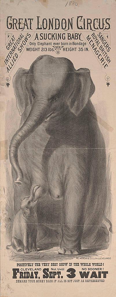Morgan Litho