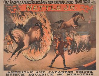 Van Amburgh, Chas. Reiche & Bros.: Nettle Jr.