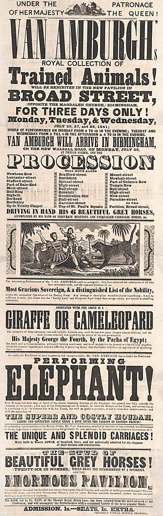 Van Amburgh: Giraffes and Elephants