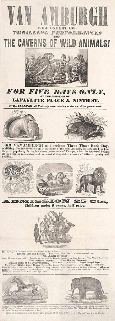Van Amburgh: The Caravans of Wild Animals