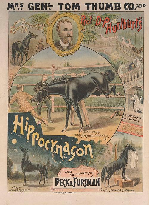 Mrs. General Tom Thumb Co.: Professor Hurlburt's Hippocynagon