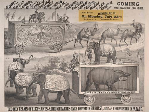 Howes Great London: Teams of Elephants & Dromedaries