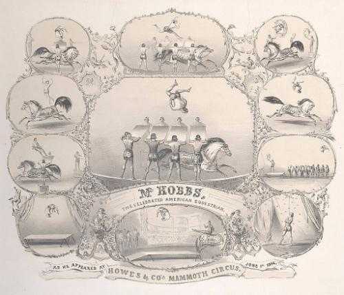 Howes & Co.: Mr. Hobbs American Equestrian